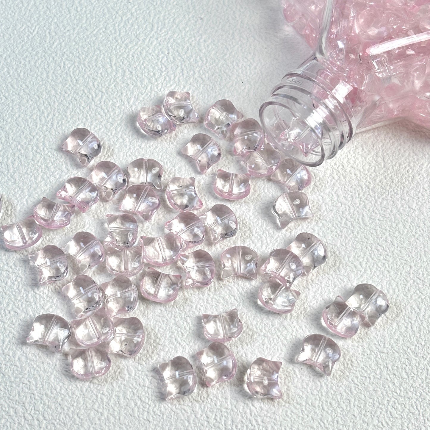 かわいい猫の頭